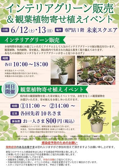 6月12日13日インテリアグリーン販売 観葉植物寄せ植えイベントinイオンモール岡山 グリーン館ミヤハラのブログ