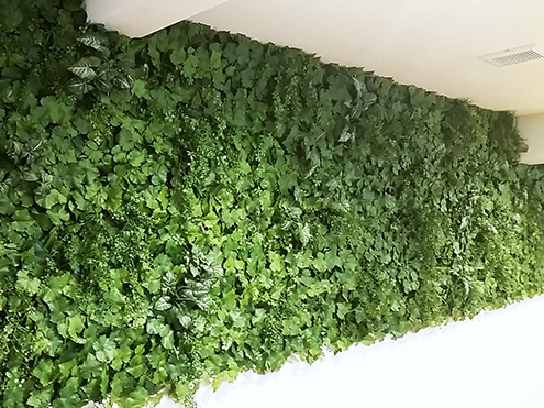 壁面緑化イメージ