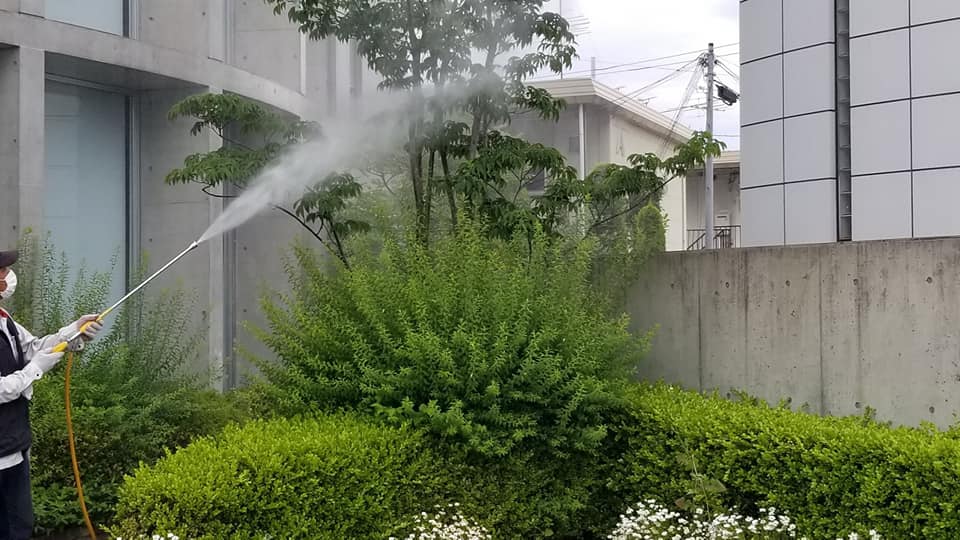 『消毒、剪定、草花植え替え作業』