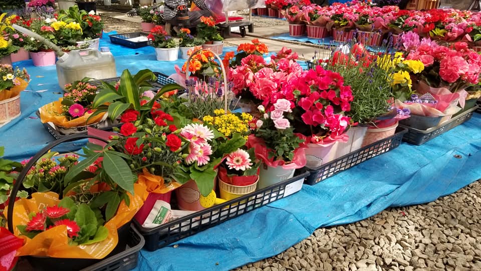 『母の日フラワーギフト店頭販売準備中ー💐』