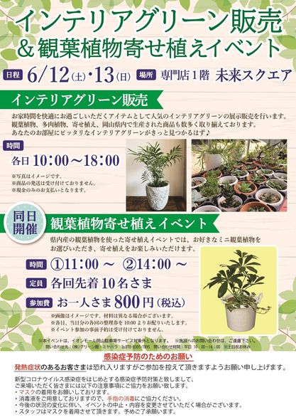 『6月12日13日インテリアグリーン販売&観葉植物寄せ植えイベントinイオンモール岡山』