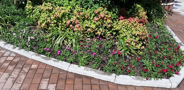 草花植栽(年間管理) ショッピングモール花壇画像