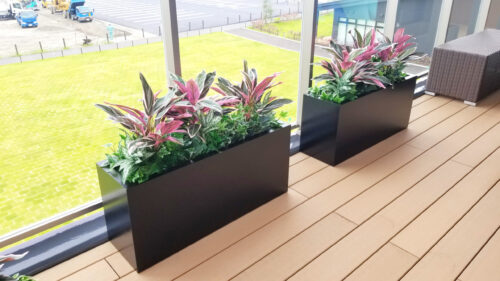 プランターアレンジ